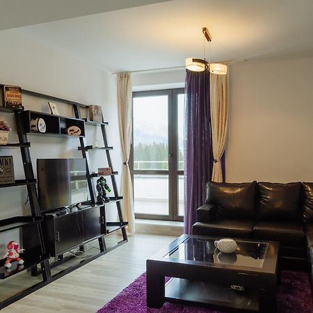 Panoramic Loft Colina Marei Διαμέρισμα Σινάια Εξωτερικό φωτογραφία