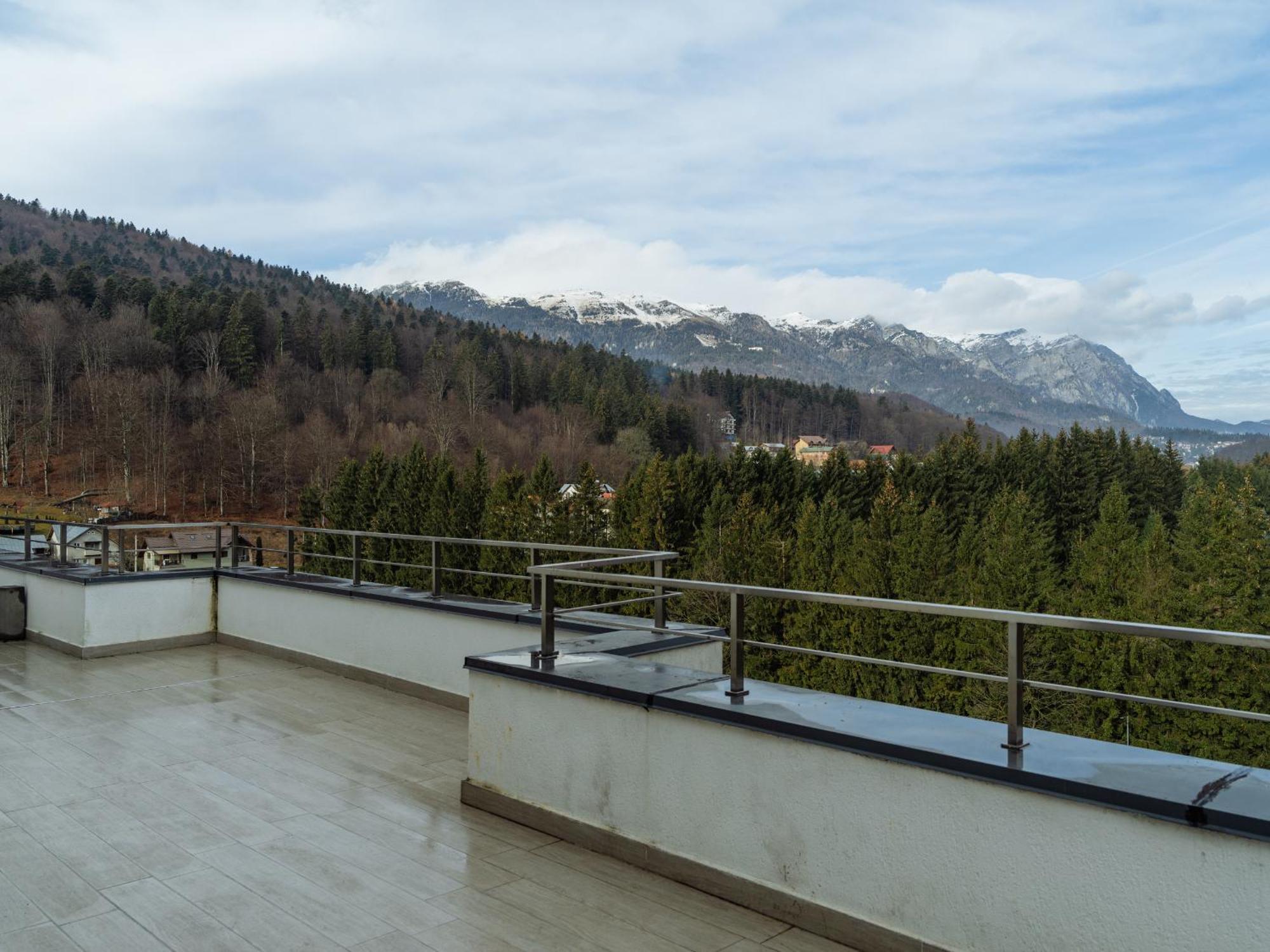 Panoramic Loft Colina Marei Διαμέρισμα Σινάια Εξωτερικό φωτογραφία